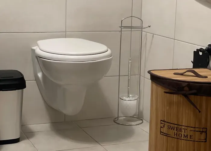 Loft 公寓 地拉那